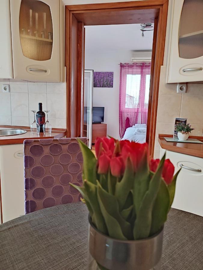Apartment Dario Zadar Ngoại thất bức ảnh