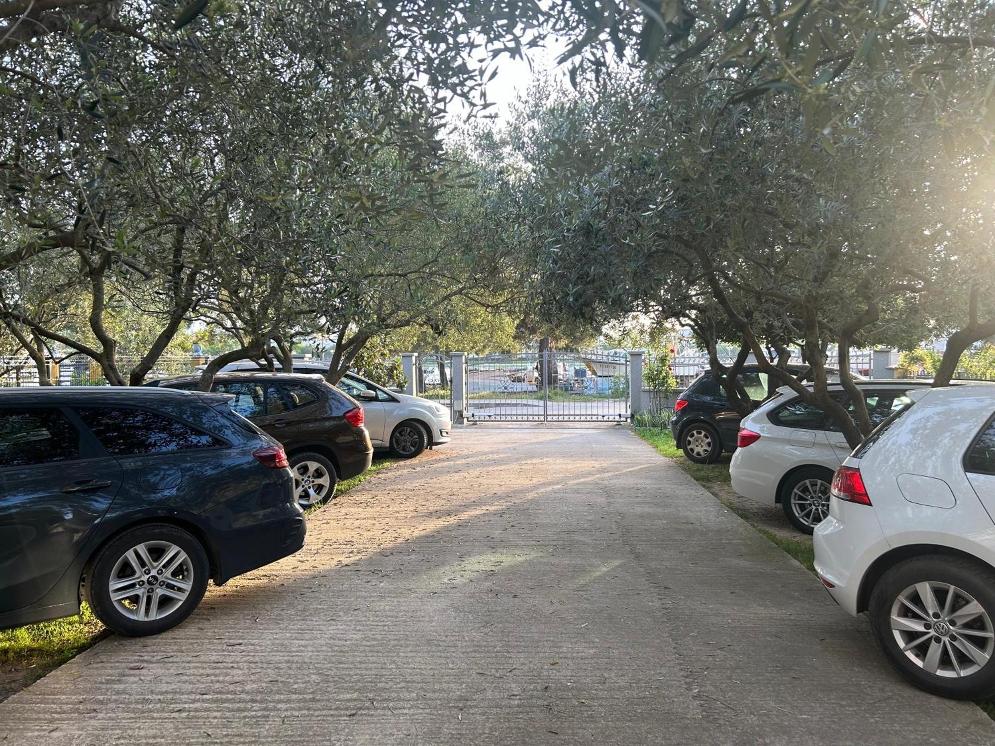 Apartment Dario Zadar Ngoại thất bức ảnh